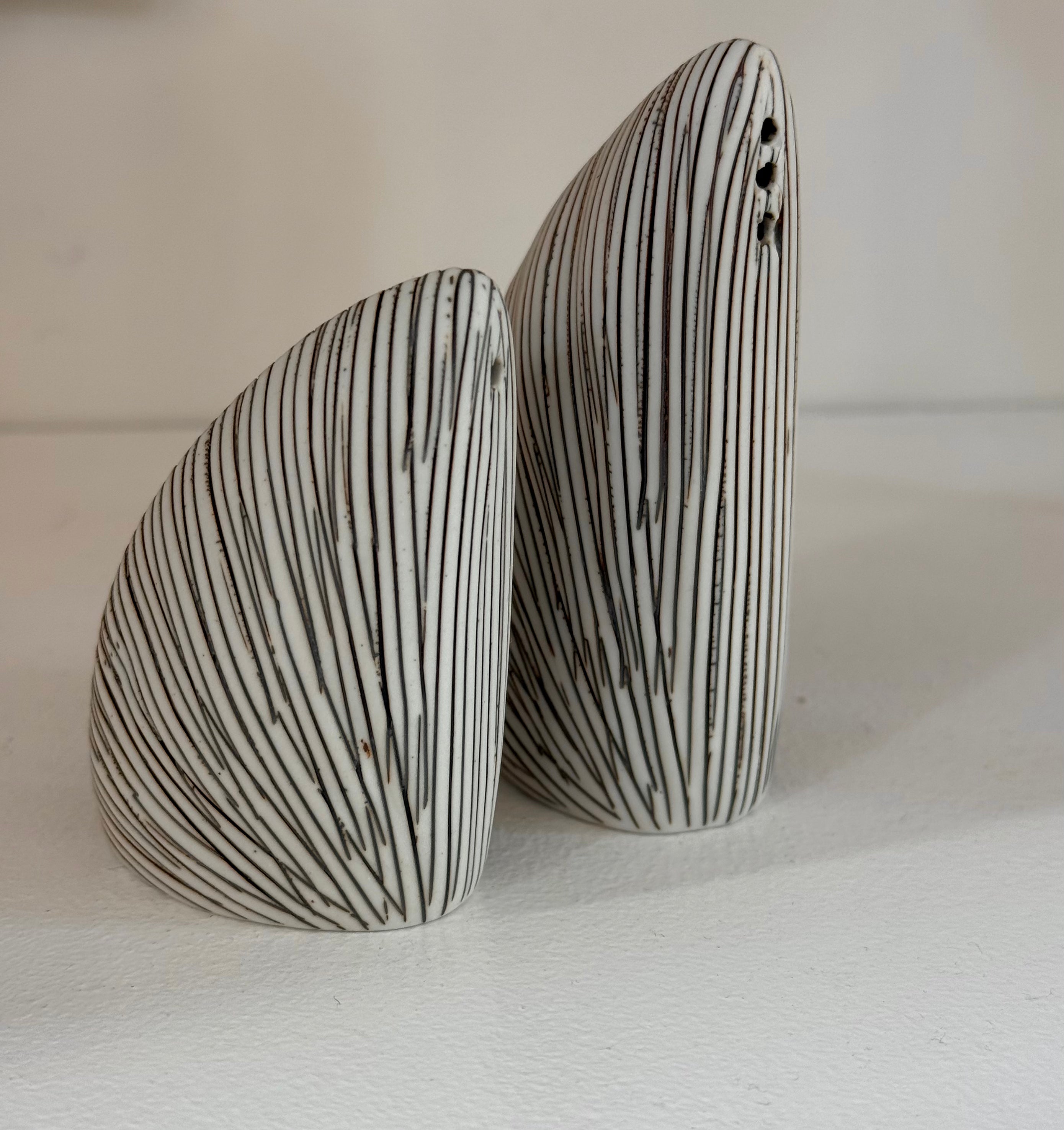 Salt and Pepper Shaker
